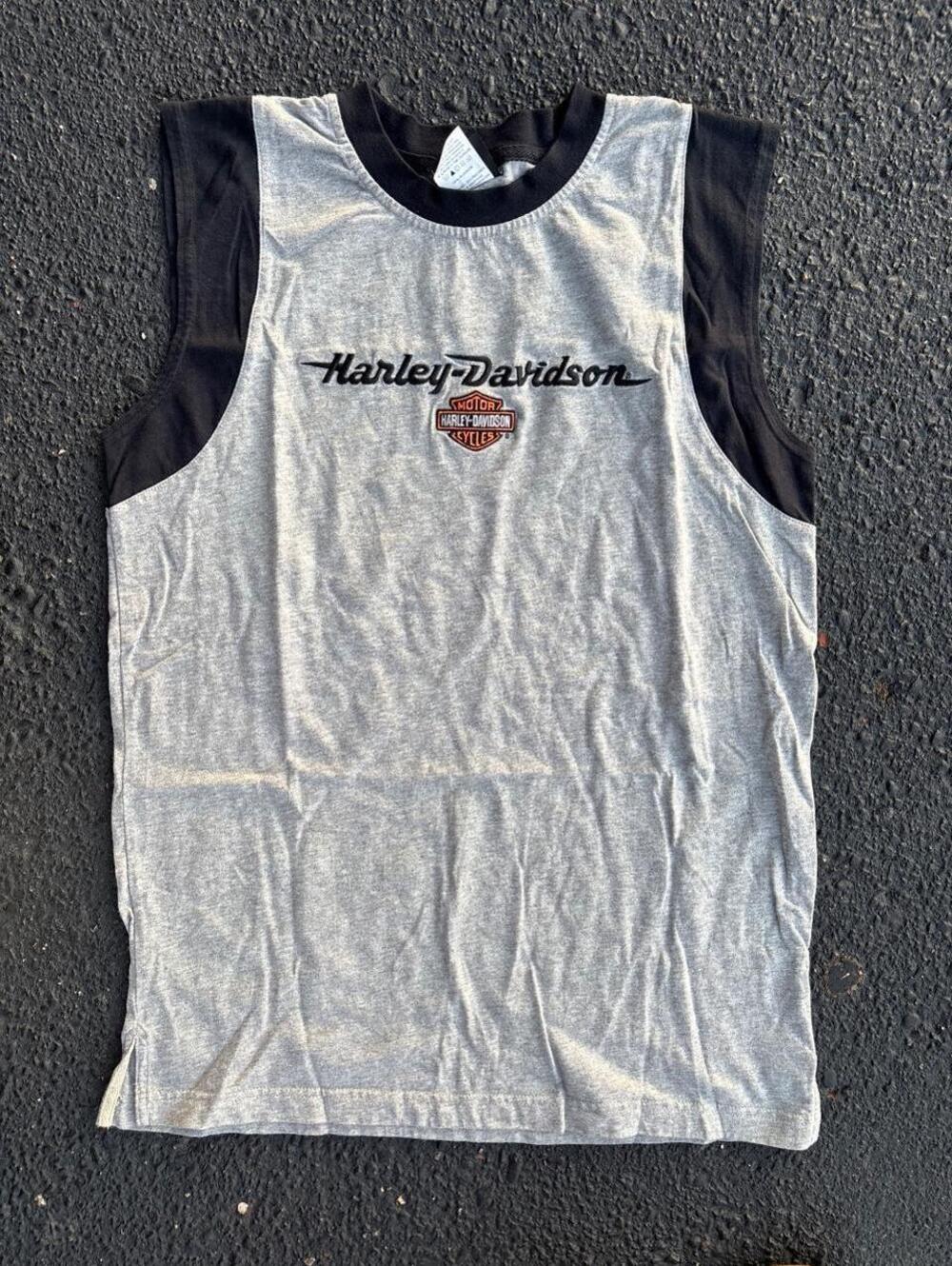 Harley Davidson Women's Grey Vests-tanks-cami